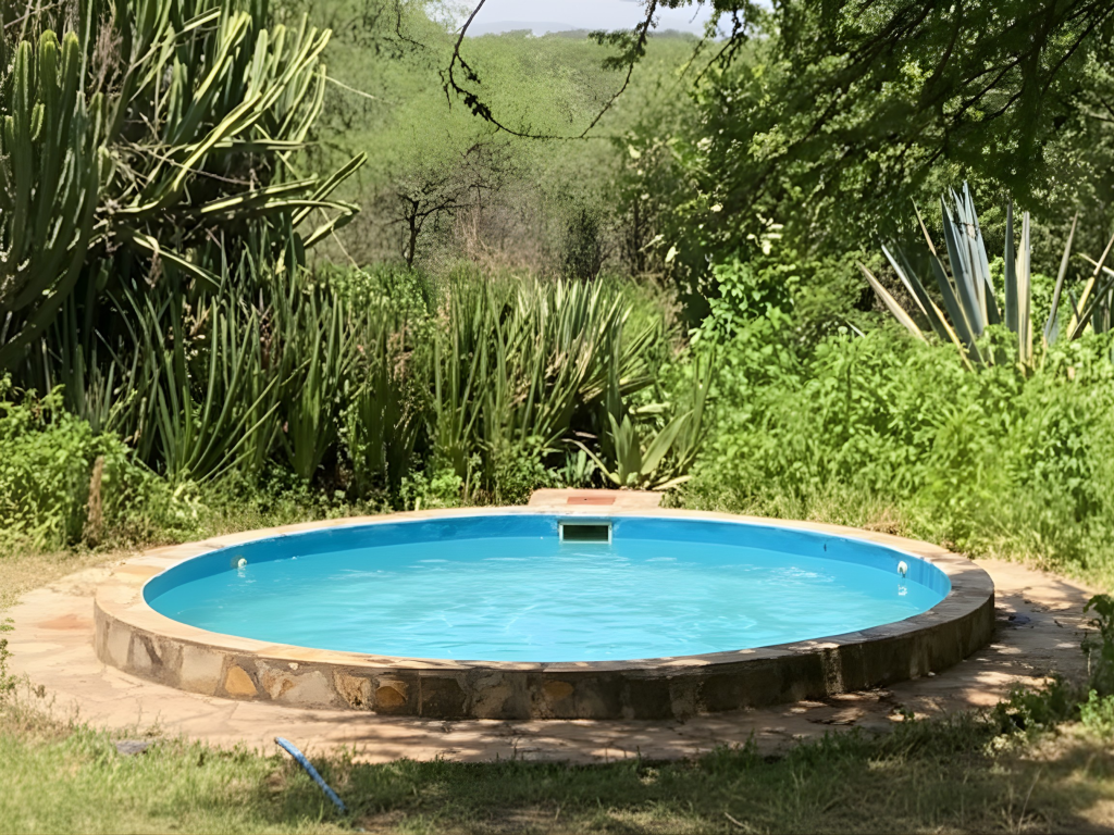 Our plunge pool